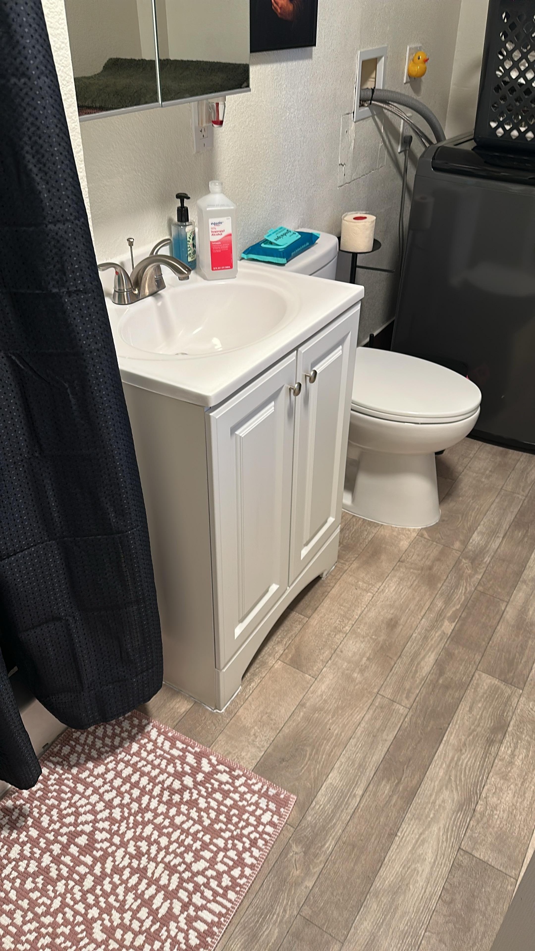 Vanity, Toilet & Fixtures