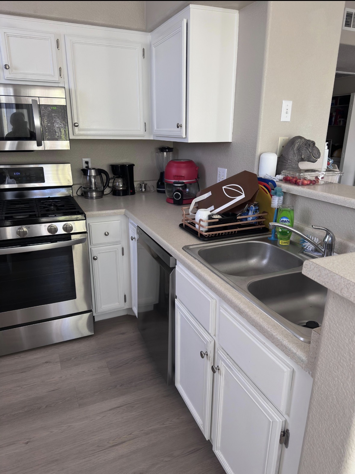 Kitchen Counters & Sink